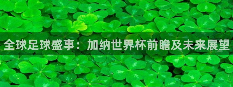 世界杯预选赛欧洲：全球足球盛事：加纳世界杯前瞻及未来展望