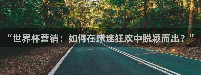 女足世界杯赛程：“世界杯营销：如何在球迷狂欢中脱颖而出？”