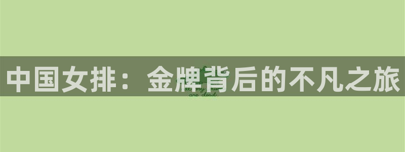 世界杯16强赛程表：中国女排：金牌背后的不凡之旅