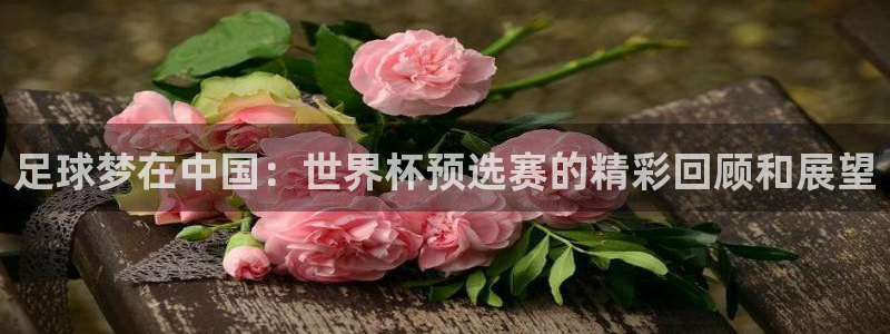 世俱杯直播：足球梦在中国：世界杯预选赛的精彩回顾和展望