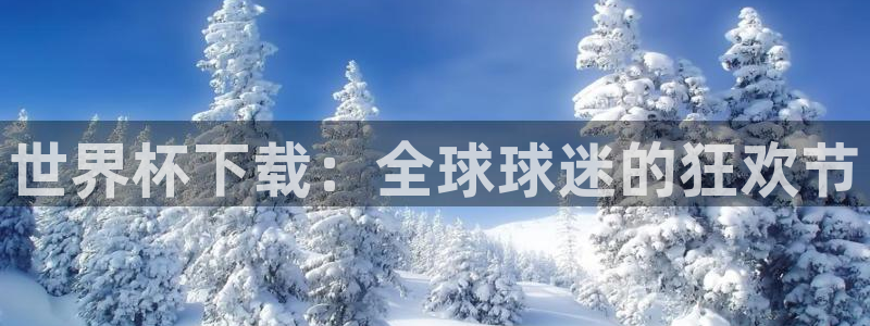 世界杯预选赛欧洲赛区积分榜：世界杯下载：全球球迷的狂欢节