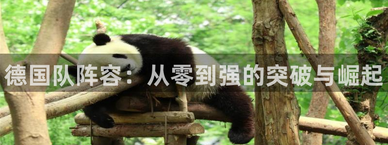 美洲杯直播：德国队阵容：从零到强的突破与崛起