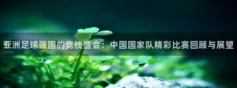 世界杯决赛直播:亚洲足球强国的竞技盛会:中国国家队精彩比赛回顾与展望