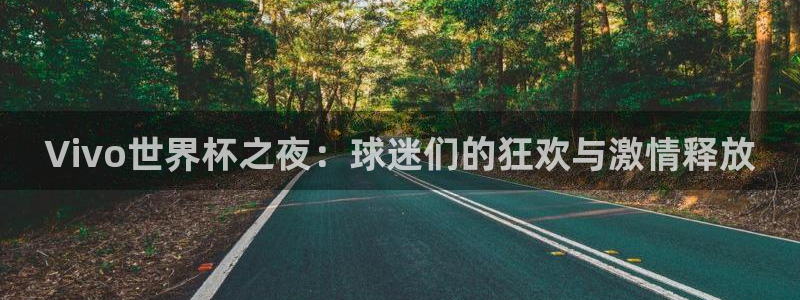 世界杯直播时间:Vivo世界杯之夜:球迷们的狂欢与激情释放