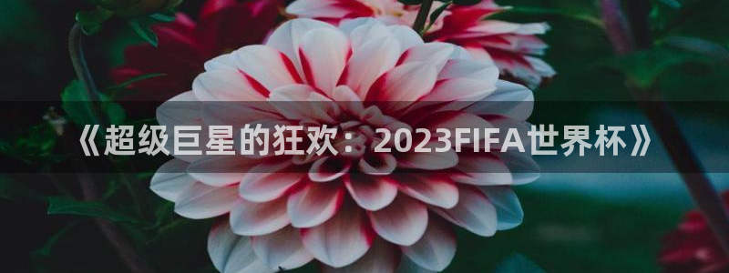 联赛杯直播：《超级巨星的狂欢：2023FIFA世界杯》