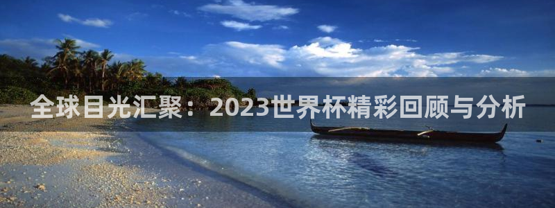 世界杯48支球队赛制：全球目光汇聚：2023世界杯精彩回顾与分析