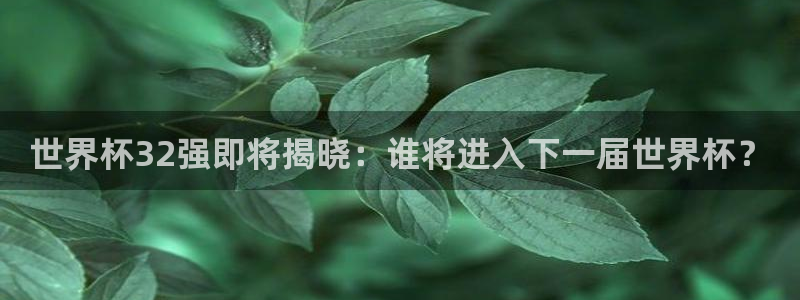 世界杯预选赛亚洲：世界杯32强即将揭晓：谁将进入下一届世界杯？