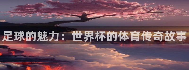 今天所有足球赛程表：足球的魅力：世界杯的体育传奇故事